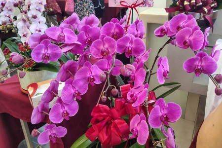 「龍洲里書畫暨工藝聯展」